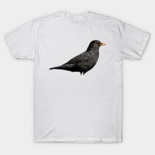 Blackbird T-Shirt